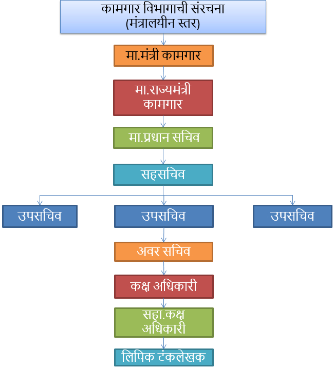 dol-org-structure
