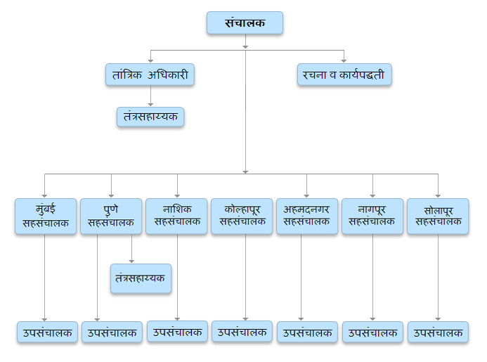 Organization Structure